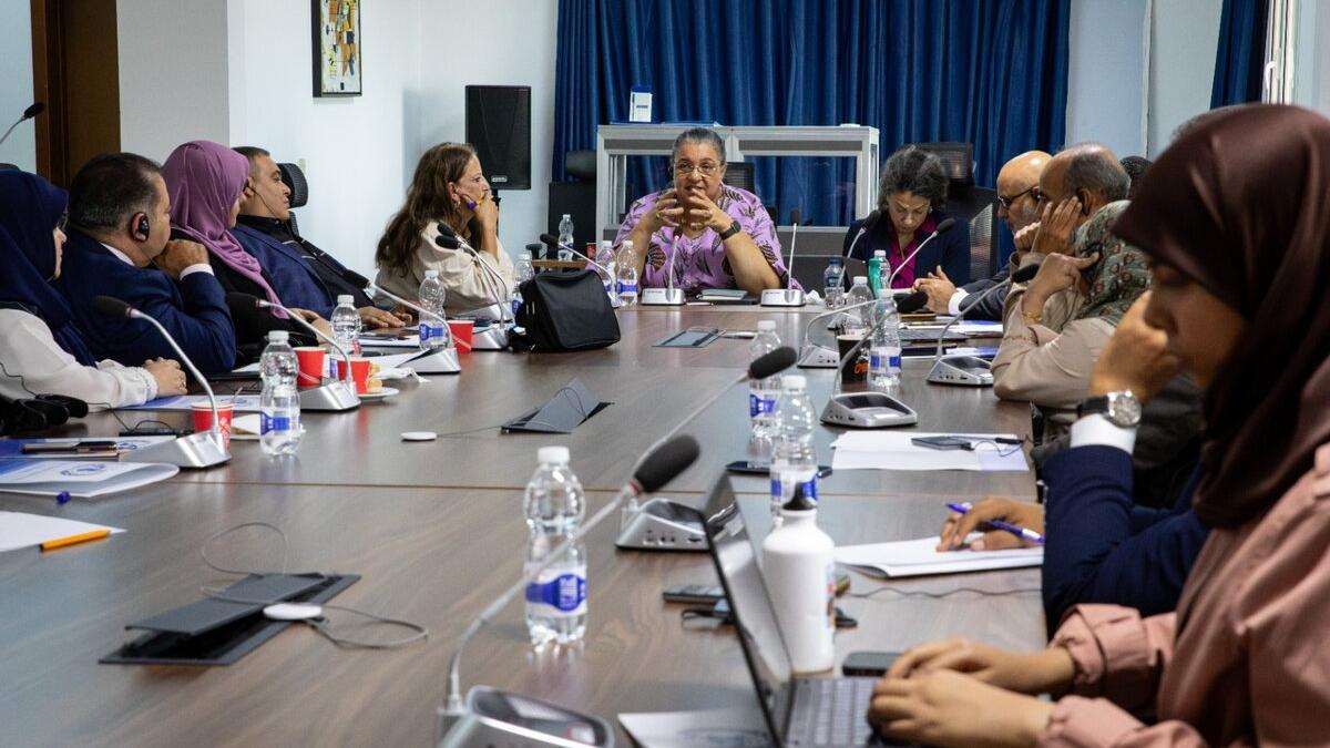 SRSG stresses the importance of including persons with disabilities in all political processes