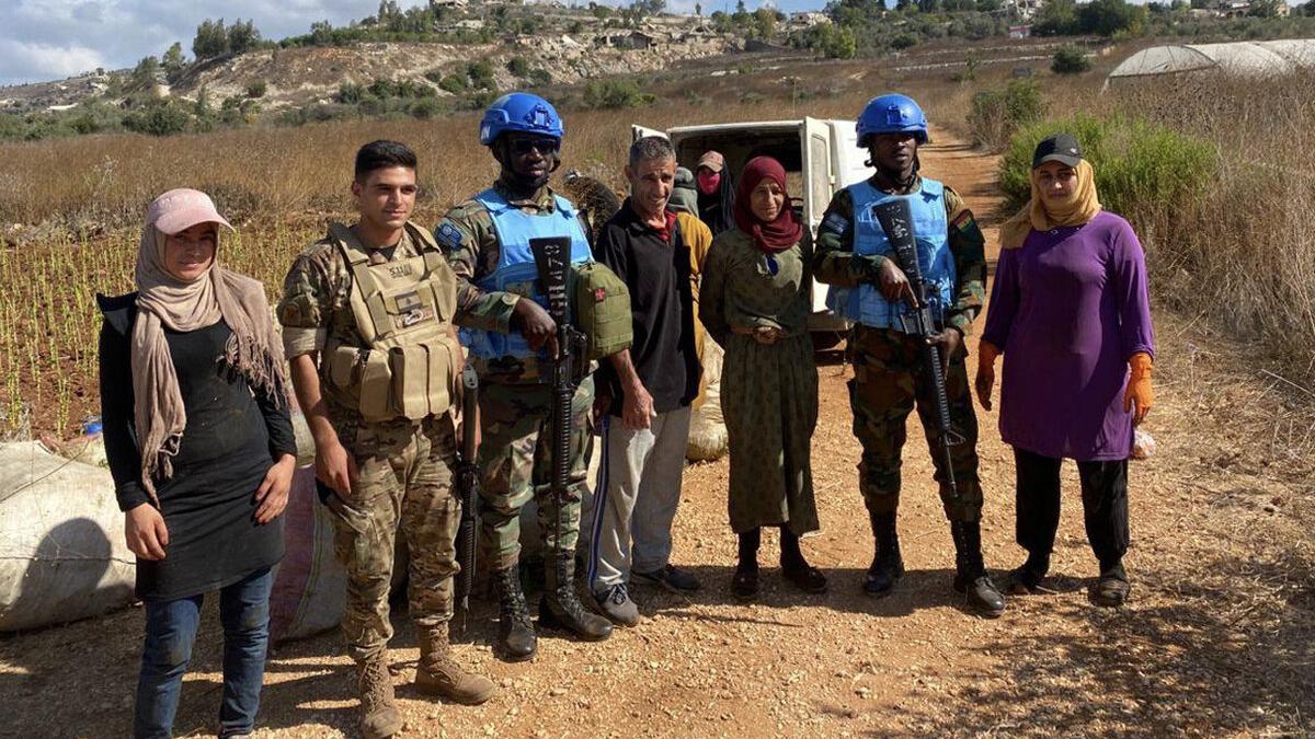 Protecting harvests, supporting livelihoods in south Lebanon