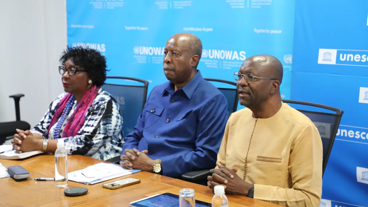 Virtual session with UN Resident Coordinators from across the region to discuss the implementation of the Regional Action Plan on Information Integrity