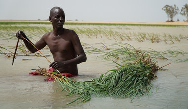 Amadou Billa, 56 years old, a vulnerable member of the Toya community, plants "bourgou" (aquatic fodder – Echinochloa stagnina specie) in readiness for the rainy season. Although he is blind, he has participated in training that helps him provide for his family. Bourgou is used for livestock and fish feed, protecting rice cultivations, and as a major source of revenue. WFP/Katia Oslansky.