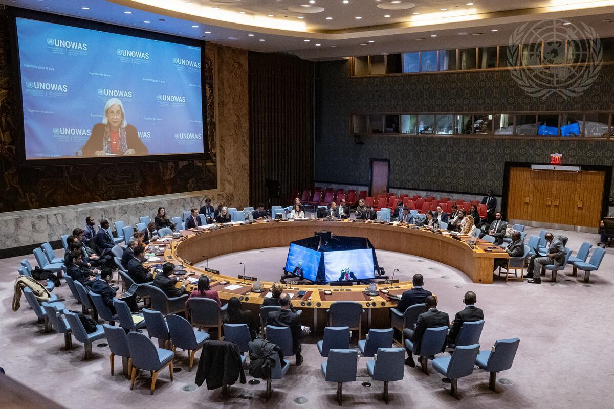 DSRSG Freeman briefs the UNSC