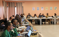 West and Central Africa: UNOWAS and UNOCA pool their efforts to strengthen peaceful coexistence between farmers and herders and ensure the sustainable management of transhumance