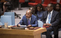 Security Council Meeting on the 1st Report of the Secretary General on the activities of the United Nations Office for West Africa and the Sahel (UNOWAS)