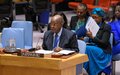 Au Conseil de sécurité des Nations Unies, le Représentant spécial Simão s’engage pour une coopération régionale renforcée